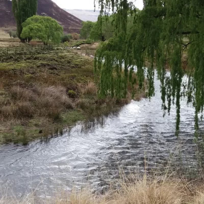 20171009_112828-e1507554017943