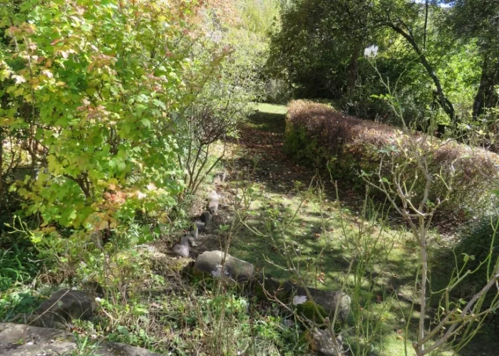 img_2829-1 img_2829-1